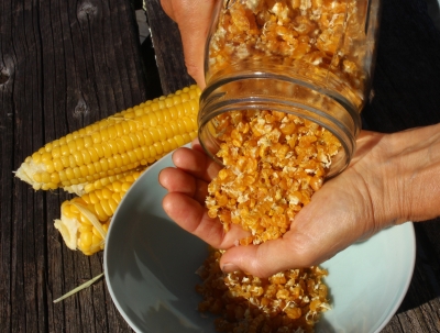 Dried sweet corn, for storage all winter.