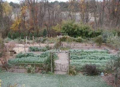 Garden view, autumn