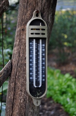 Minimum-maximum thermometer