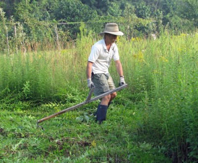 scything, beginning stroke