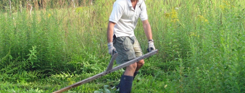 scything, beginning stroke