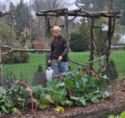 Spraying plants