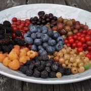 Berries of July