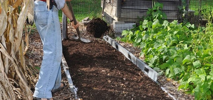 Spreading compost