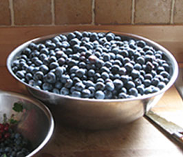 Bowl of blueberrires