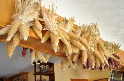 Popcorn hanging from rafters for winter