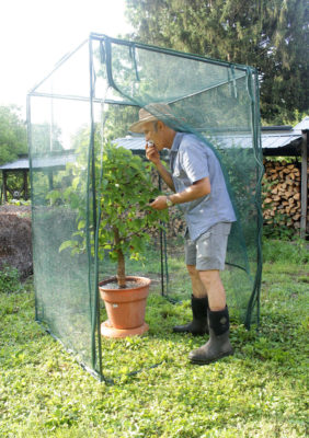 Fruit cage