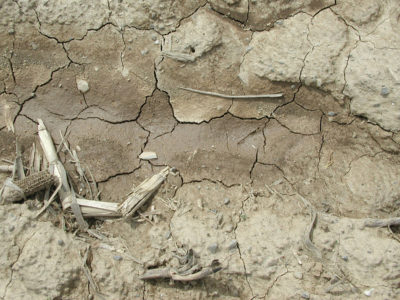 Bare, cracked soil
