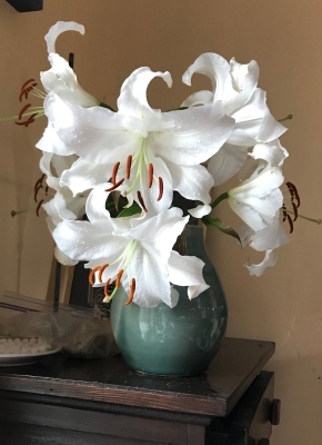 Lilies in vase