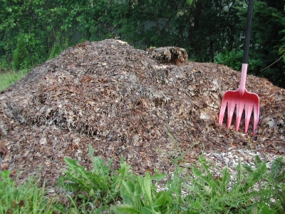 Leaf pile