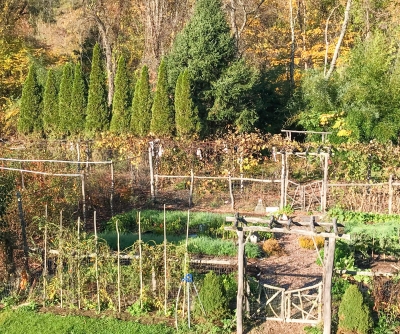 Garden view from bedroom window