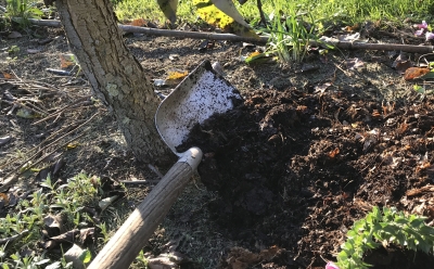 Spreading leaf mold