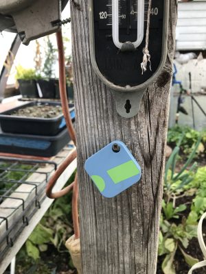 SensorPush in greenhouse