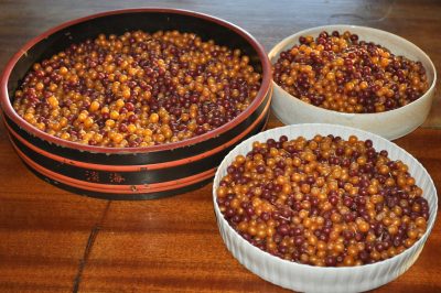 autumn olive fruits in bowl