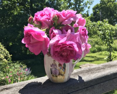 Rose d'Ipsahan in vase