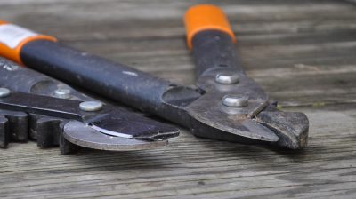 Bypass blade (left) vs anvil blade (right)