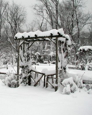 Trellis and snow