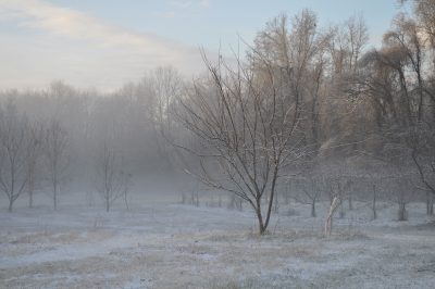 South field, winter view