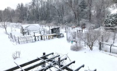 Winter scene, looking south