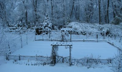 Vegetable garden in winter