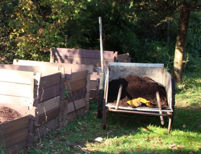 My compost piles