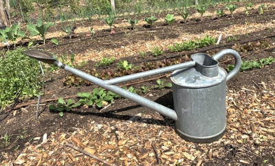 Watering can, 2 gal Haws