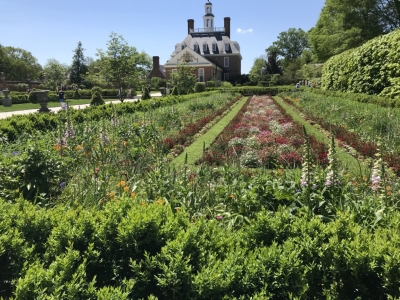The governor's garden