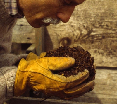 Smelling compost