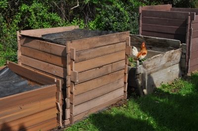 Large Black Walnut Kitchen Compost Bin