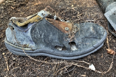 Composted shoe
