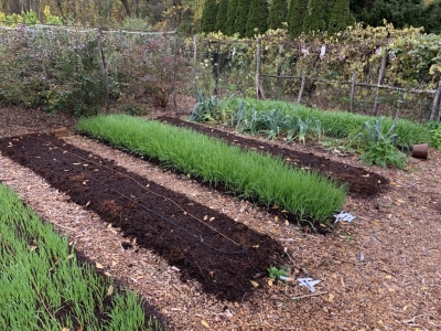 Tidy vegetable garden beds