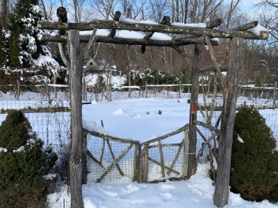 Snow in garden, Dec. 4