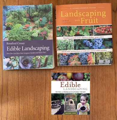 landscape books