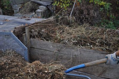 Carbon-rich compost food