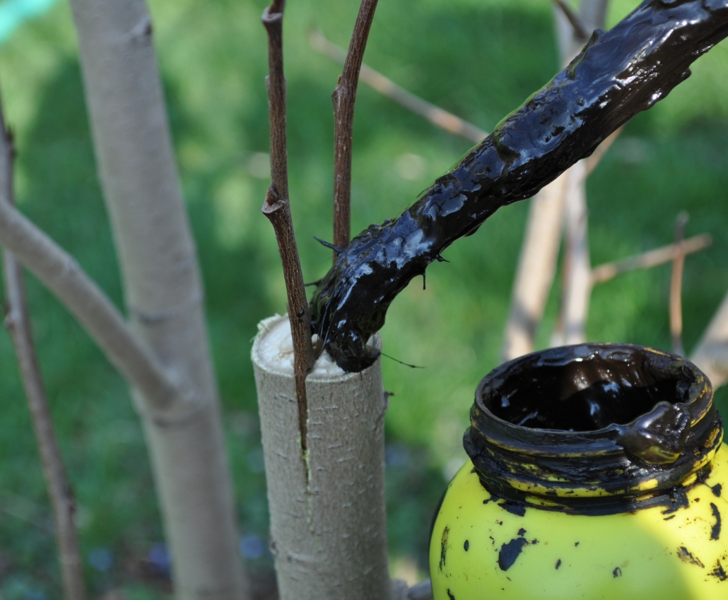 I MAKE TREES Lee Reich