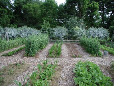 Garden beds