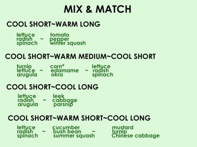 Examples of planting combinations