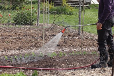 Watering by hand