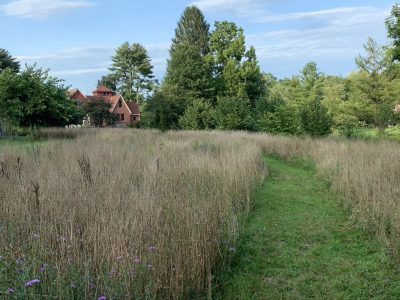 Meadow path