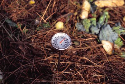 Compost thermometer