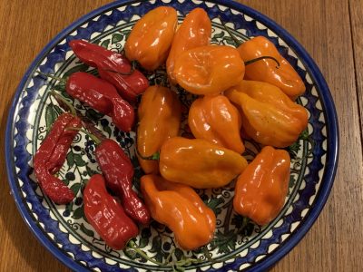 Peppers, Red Ember and Roulette