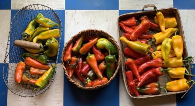 Peppers in trays and baskets