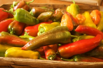 Peppers in various stages of ripening