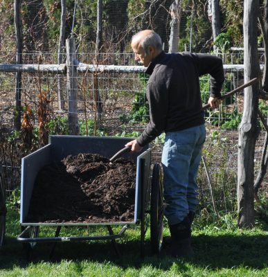 Compost in garden cart