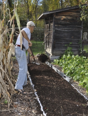 Spreading compost on established bed