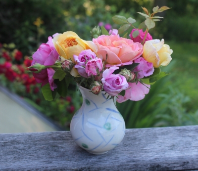 Roses in a vase