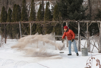 Spreading woodash