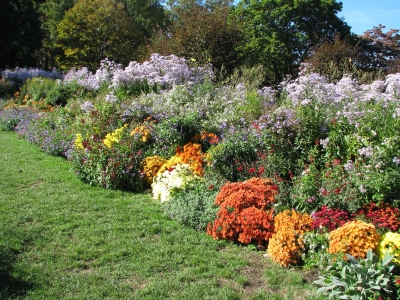 Cottage garden