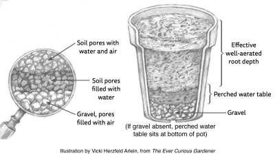 Perched water table