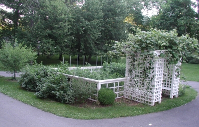 Fenced garden